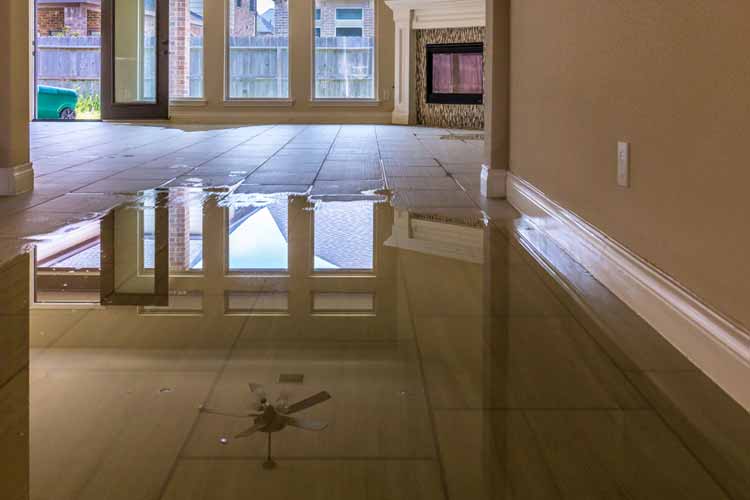 flooded-room